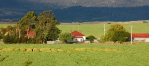 Building on Rural Land Near Weaverville Pros & Cons