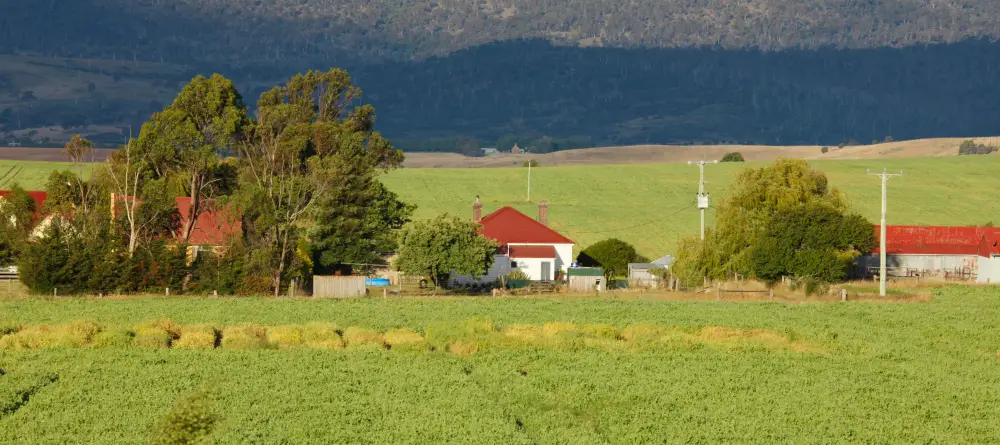 Building on Rural Land Near Weaverville Pros & Cons