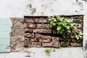 How Drainage Impacts Retaining Wall Longevity