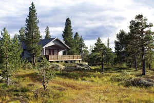 How Much Does a Luxury Mountain Home Cost in Western NC