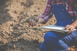 Why Soil Testing Matters Before Building a Custom Home